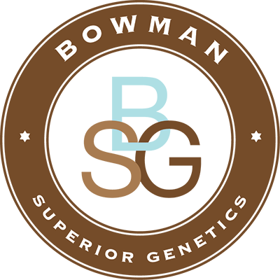 Bowman Superior Genetics